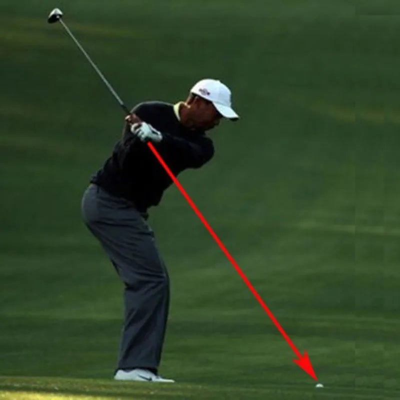 Swing Plane Laser