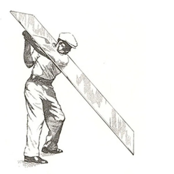 Swing Plane Laser
