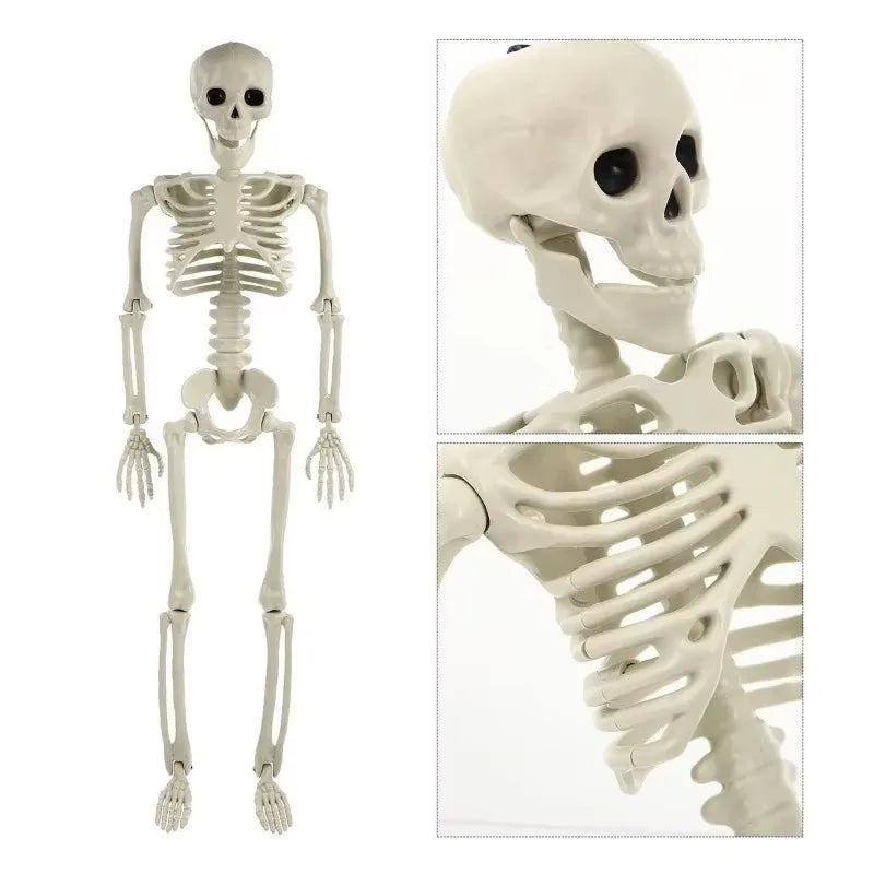 Full Life Size Home Evil Party Decoration Horror Scary Movable Big Skull 90CM Halloween Movable Skeleton Halloween Ornament Toys Proshop