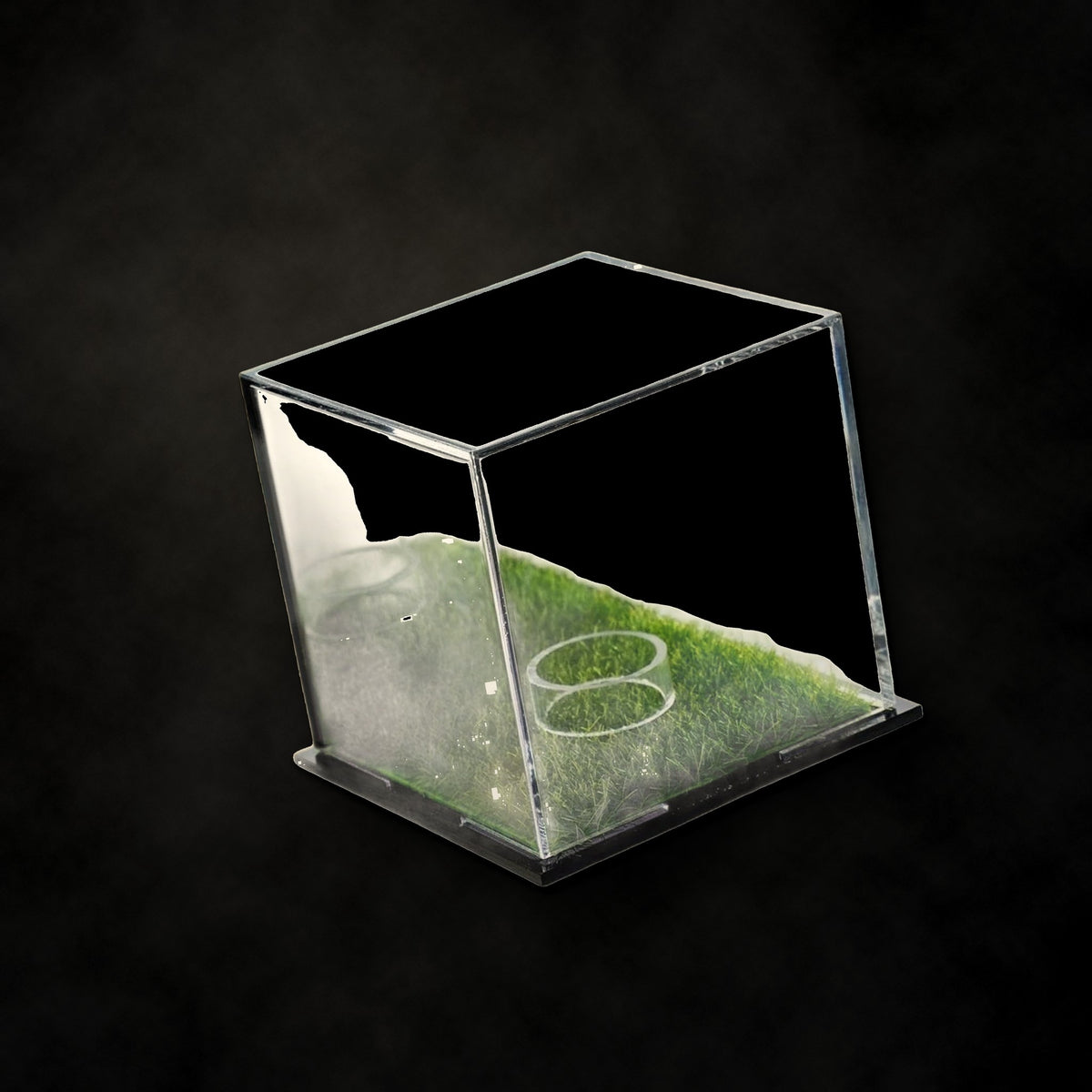 Golf Ball Display Cabinet